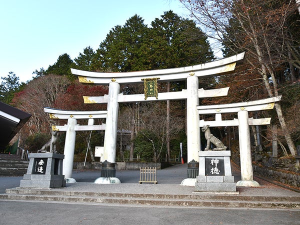 【千葉・西船橋発】関東屈指のパワースポット『秩父三社』を1日で全制覇⛩三峯神社・秩父神社・宝登山神社の開運バスツアー✨2